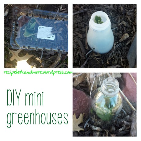 DIY mini greenhouses - upcycle milk containers soda bottles and more